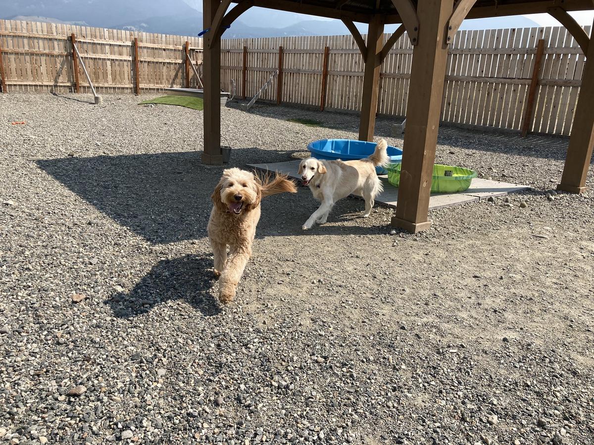 Yellowstone Pet Boarding
